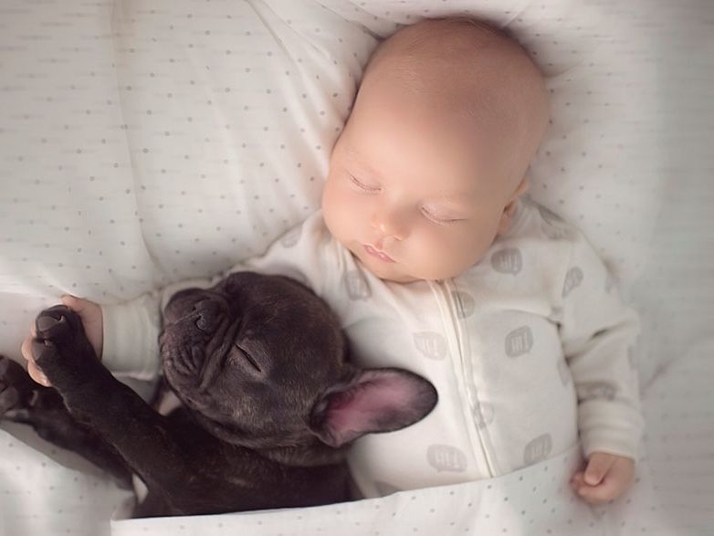 You Won't Believe What This Baby And Bulldog Have In Common