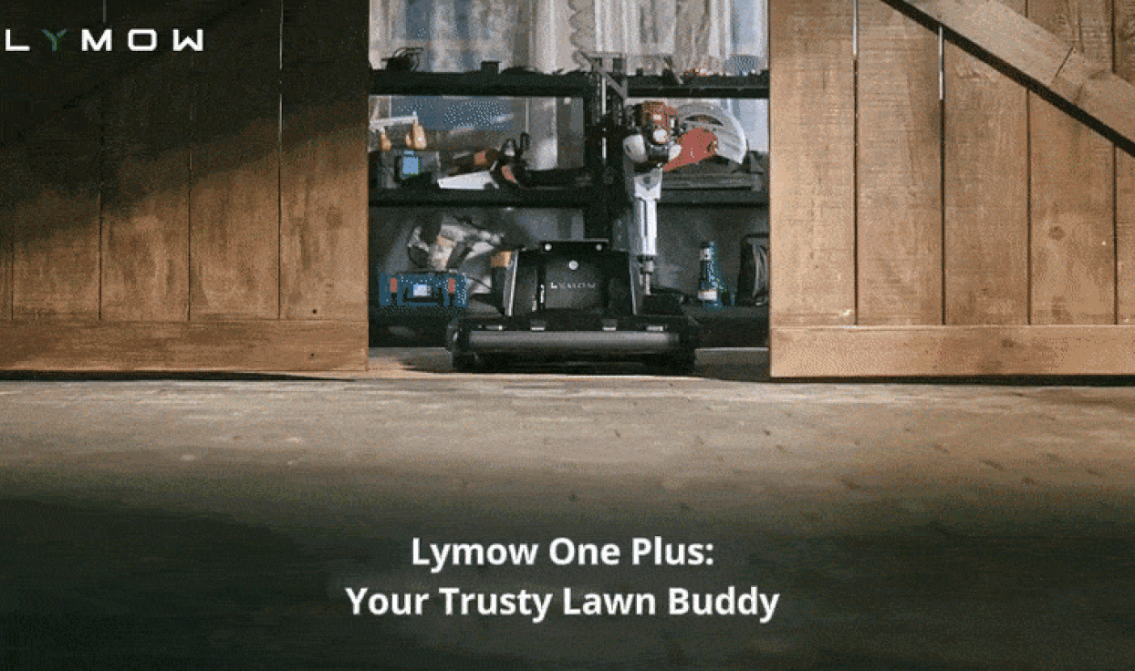 Tired of Endless Mowing? Master Large Lawns Effortlessly
