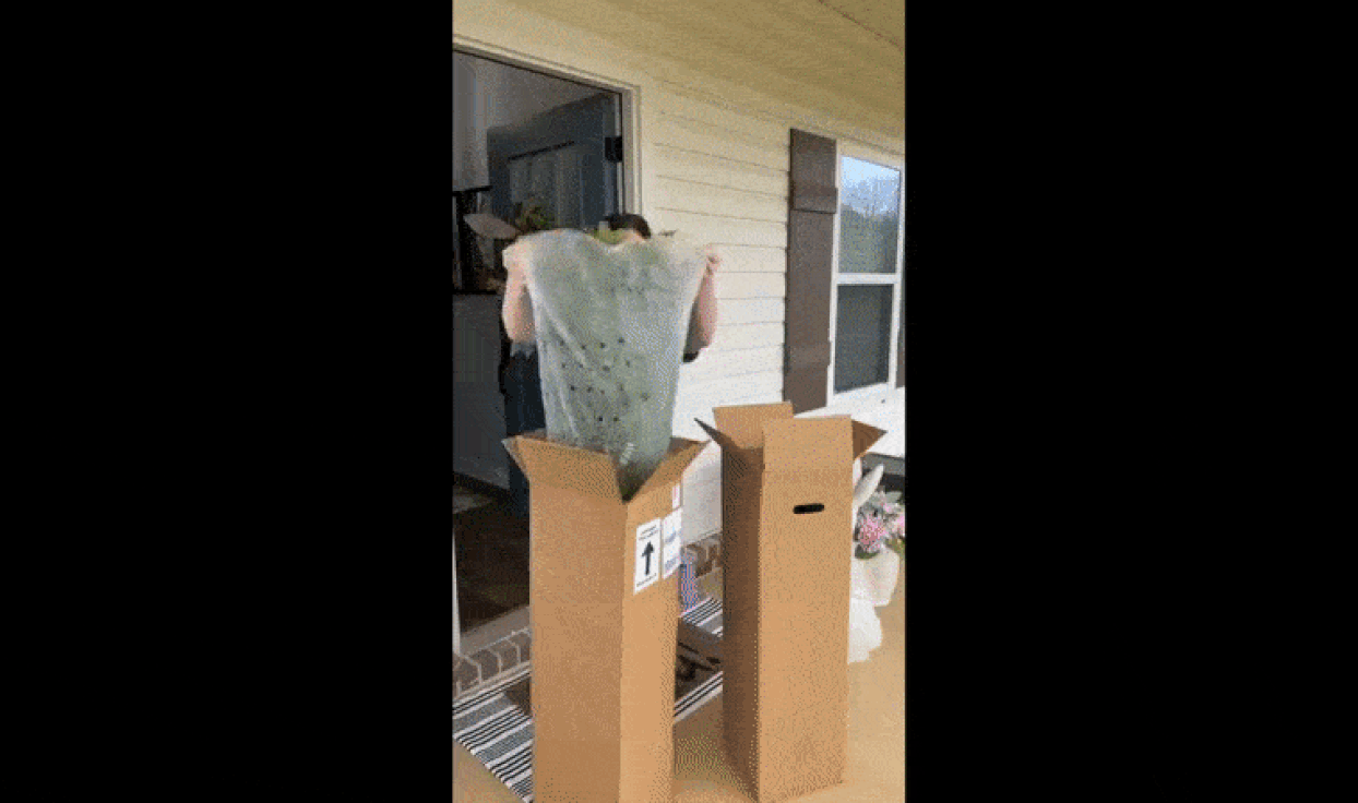 UV-resistant artificial Boston fern for home decor