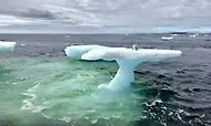 Fishermen See An Animal On An Iceberg, But Then They Look Closer!