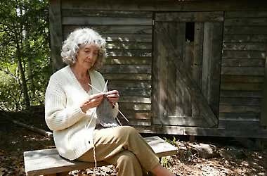 Woman Transformed Abandoned Shed for Just $15K—Wait Until You See the Result!