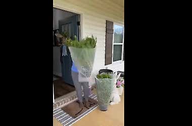 UV-resistant artificial Boston fern for home decor