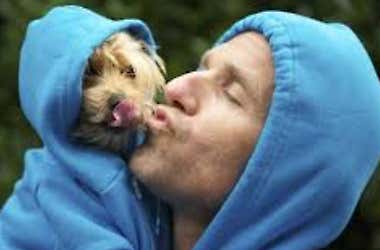 Dog licks arent kisses. Heres what your dog really means when it licks you.