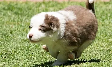 20 Adorable Animal Photos That Will Instantly Brighten Your Day