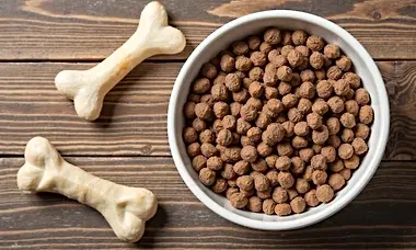 Find Results For Vet Recommended Dog Food Options (Read More)