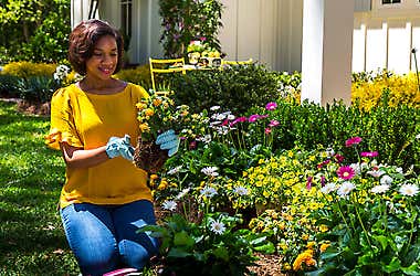 How Gardening Supports Your Mental Health