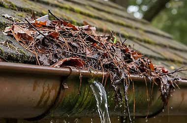 What Home Inspectors Notice About Your Gutters. And Your Future Buyer Will Too