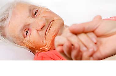 Neurologists Surprised: This Food Combination Is Linked to Memory Loss