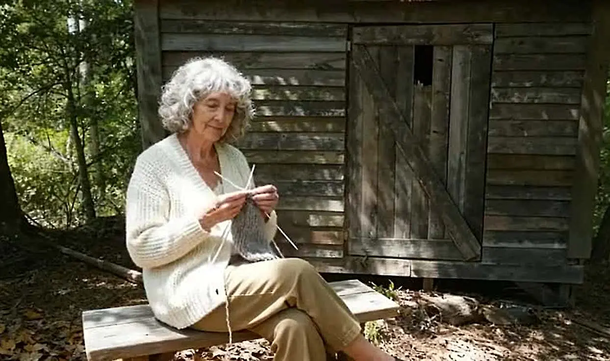 Retiree Turns Abandoned Shed Into a Dream Home: Architects Are Speechless