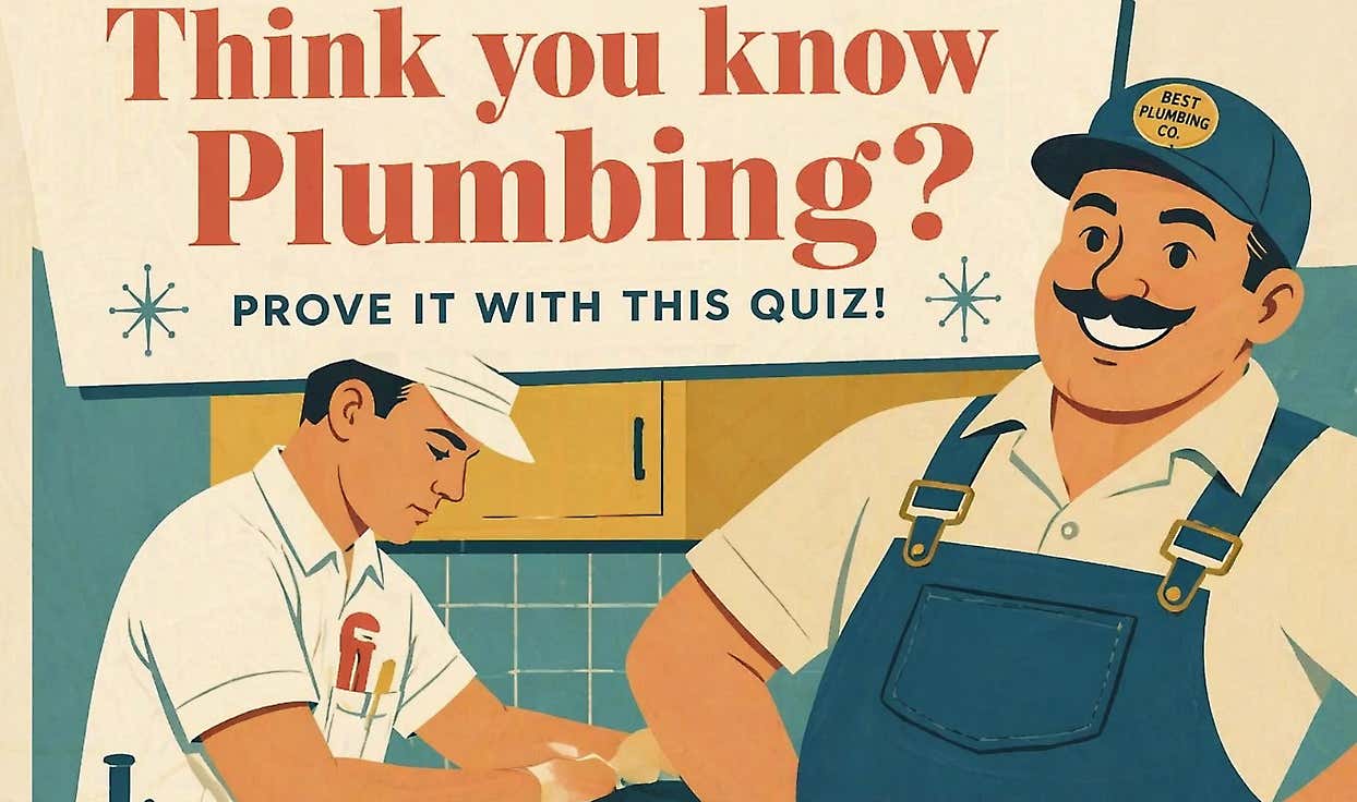 Are You a Plumbing Pro?
