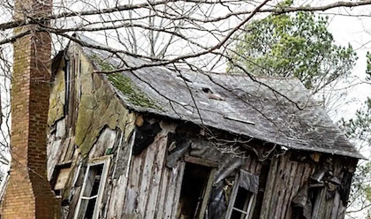 Best $1 She Ever Spent. See Her Dream Reno