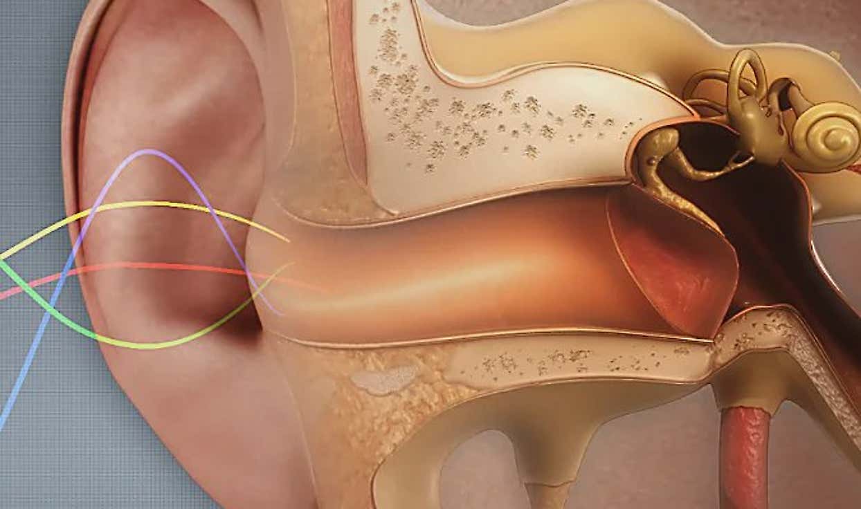 Hidden Cause of Tinnitus Discovered (Nothing to Do With Your Ears or Hearing)