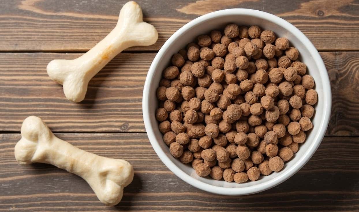 Find Results For Vet Recommended Dog Food Options (Read More)