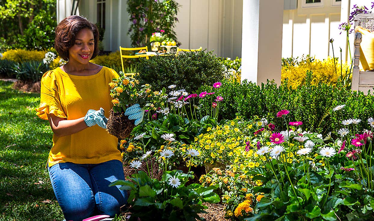 How Gardening Supports Your Mental Health