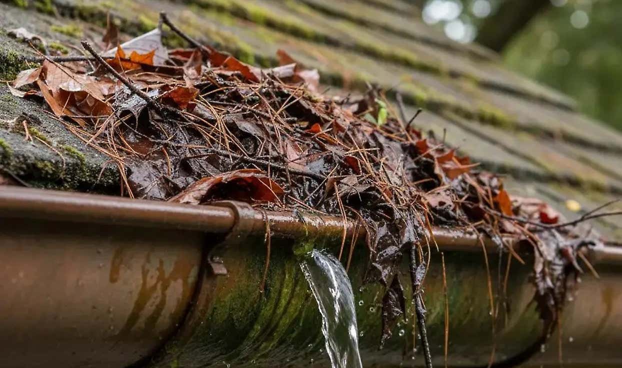 What Home Inspectors Notice About Your Gutters. And Your Future Buyer Will Too
