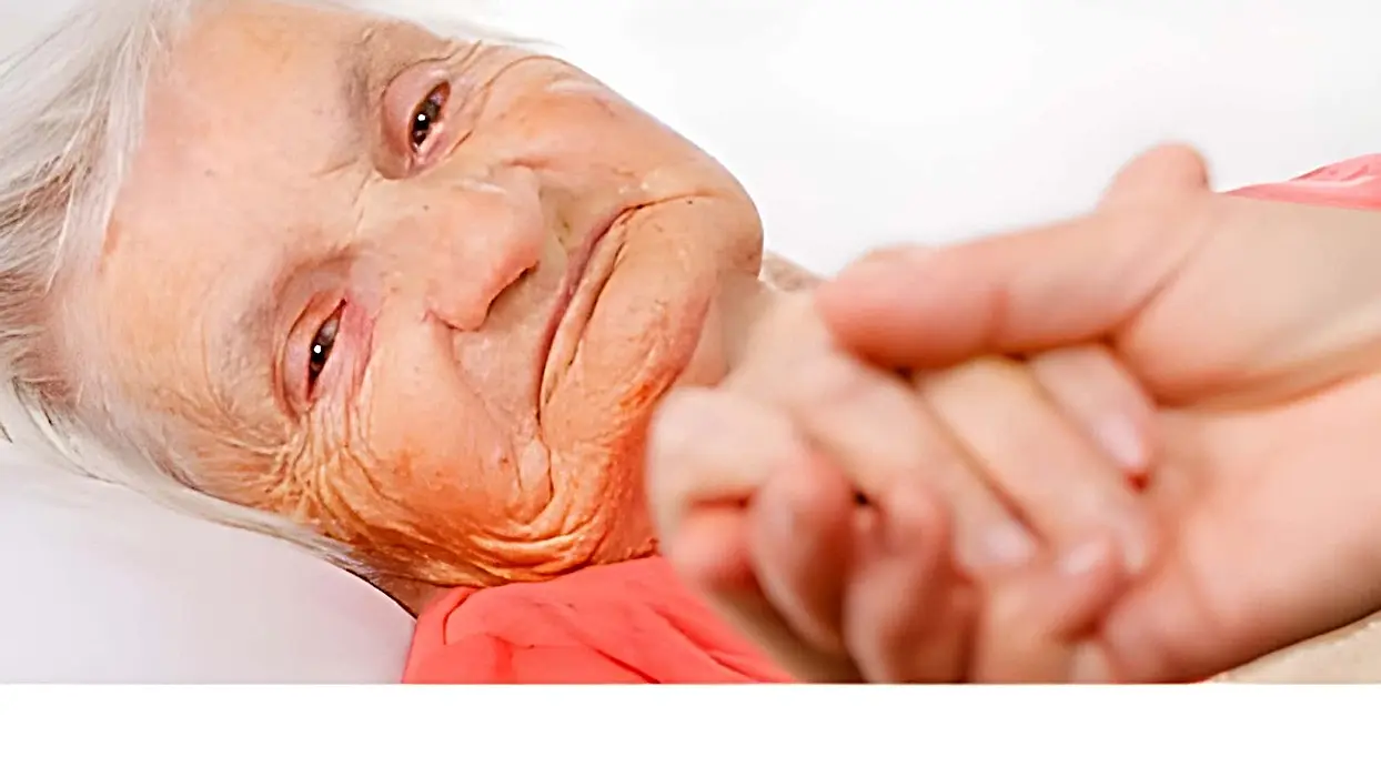 Neurologists Surprised: This Food Combination Is Linked to Memory Loss