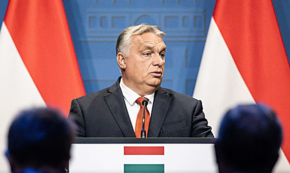article main image
