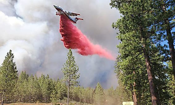 article main image