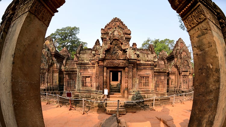 article main image
