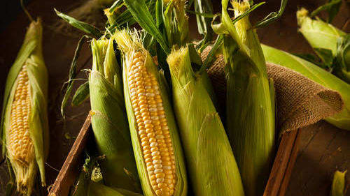 article main image