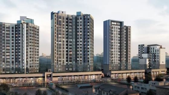 article main image