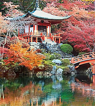 This Japanese airline is offering free domestic flights for UK and European travellers